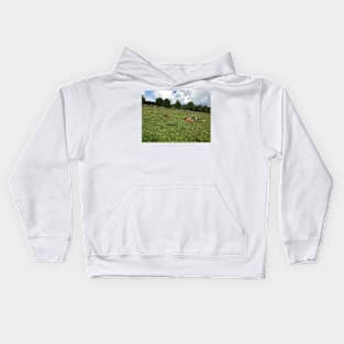 Scottish Highland Cattle Calves 1449 Kids Hoodie